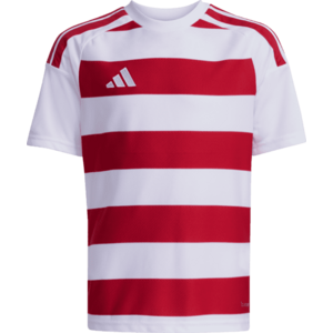 Póló adidas Hooped 26 Kids kép