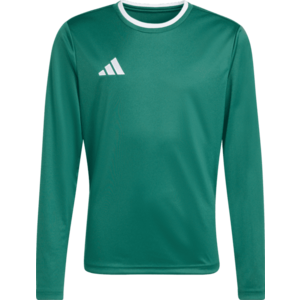 Hosszú ujjú mez adidas Entrada 26 Long Sleeve Kids kép