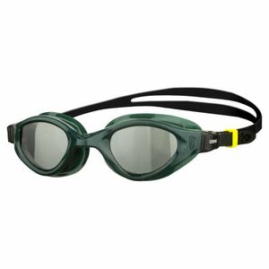 Úszószemüvegek ARENA CRUISER EVO kép