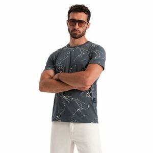 Férfi rövid ujjú V-nyakú póló OMBRE T-shirt OM-TSFP-0184 V-3 dark grey kép