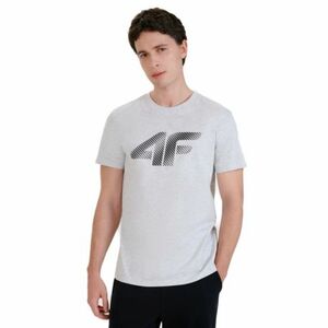 Férfi rövid ujjú póló 4F TSHIRT M2257-27M-COLD LIGHT GREY MELANGE kép