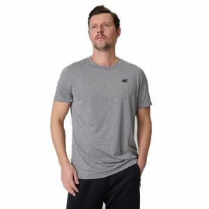 Férfi rövid ujjú edzőpóló 4F TSHIRT FNK M2140-25M-GREY MELANGE kép