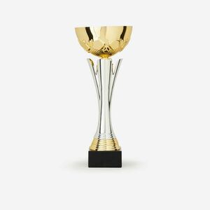 Trophée Vainqueurs Kupa, 32 cm - C535 kép
