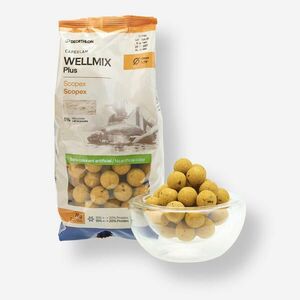 Caperlan Bojli pontyozáshoz, scopex ízű, 20 mm, 1 kg - Wellmix Plus kép