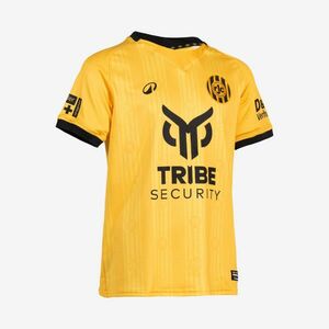 Kipsta Gyerek futballmez - Roda JC Kerkrade kép