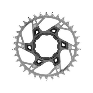 SRAM lánckerék - XX TQ 34z T-TYPE - ezüst/fekete kép