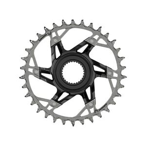 SRAM lánckerék - XX T-TYPE 36T BOSCH GENERATION 4 - ezüst/fekete kép