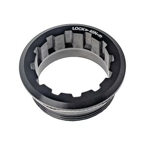 SHIMANO anya - CS-M8100/M7100 - antracit kép