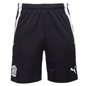Puma TEAM LIGA TRAINING SHORTS Férfi futball rövidnadrág, fekete, méret kép