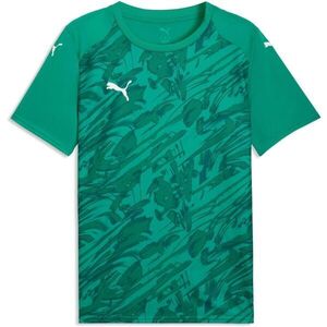 Puma TEAMFINAL GRAPHIC JERSEY Férfi sportpóló, zöld, méret kép