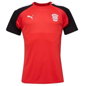 Puma TEAMGLORY JERSEY Férfi futballmez, piros, méret kép