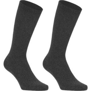 SCHOLL BAMBOO REGULAR 2P Normál magasságú bambusz zokni, sötétszürke, méret kép