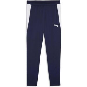 Puma TEAMFINAL 26 TRAINING PANTS Férfi nadrág sportoláshoz, sötétkék, méret kép