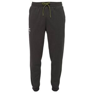 Puma ASTON MARTIN F1 ESSENTIAL SWEAT PANTS Férfi nadrág, fekete, méret kép