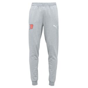Puma TEAMGOAL 23 CASUALS PANTS Férfi edzőnadrág, szürke, méret kép