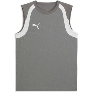 Puma TEAMFINAL 26 TRAINING JERSEY Férfi sportos ujjatlan felső, szürke, méret kép