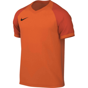 Dri-FIT Trophy VI kép