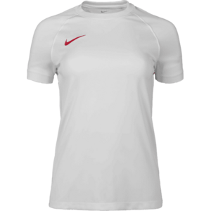 Dri-FIT Park VIII Women kép