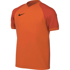 Dri-FIT Trophy VI Kids kép