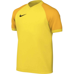 Dri-FIT Trophy VI Kids kép