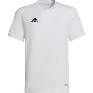 ENT22 TEE Y kép
