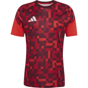 26 Pre-match kép