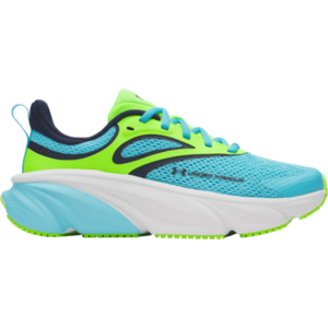 UA BGS Rogue 6 kép