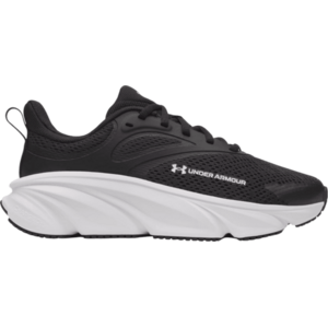 UA BGS Rogue 6 kép