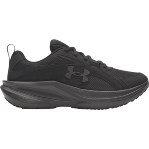 UA BGS Assert 11 kép