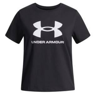 UA BIG LOGO SS kép