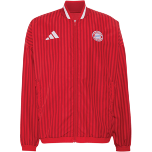 FC Bayern Stadium kép