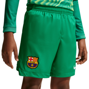 Dri-FIT FC Barcelona Stadium Goalkeeper 2026/27 kép