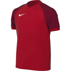 Dri-FIT Trophy VI Kids kép