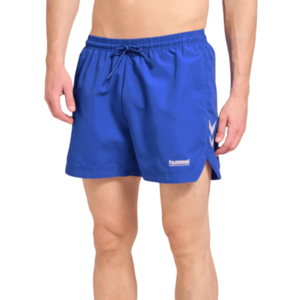 Pulse Swimming kép