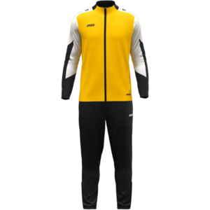 Dynamic Tracksuit kép