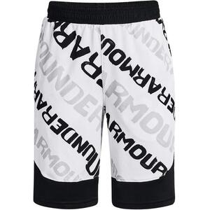 UA BASELINE PERF SHORT-WHT kép