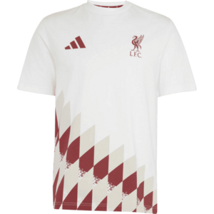 Liverpool FC Stadium Graphic kép