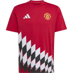 Manchester United Stadium Graphic kép