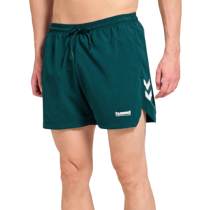Pulse Swimming kép