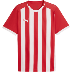 teamLIGA26 Striped kép