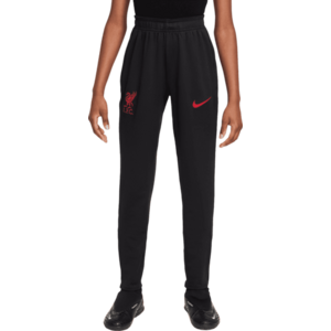 LFC Y NK DF STRIKE PANT KPZ SE kép