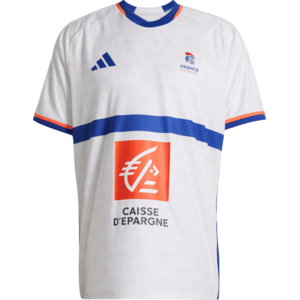 France Handball Replica kép