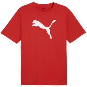 teamRISE Logo Jersey Cotton kép
