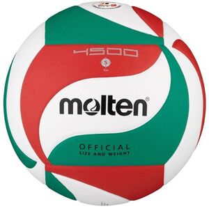 V5M4500 VOLLEYBALL kép