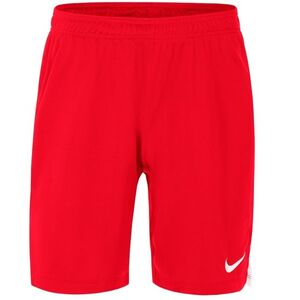 MENS TEAM SPIKE SHORT kép