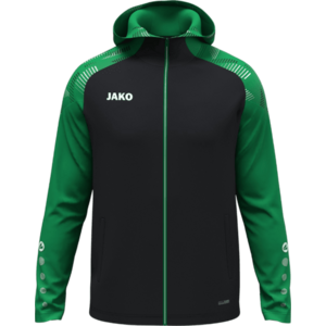 Sonic Hooded kép