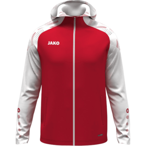 Sonic Hooded kép