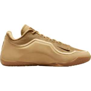 LeBron XXII kép
