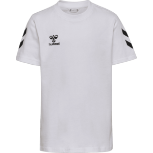 Go 2.0 Chevron kép