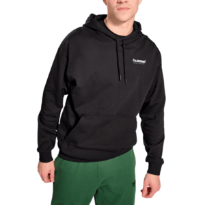 HMLLGC NATE HOODIE kép